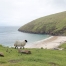 Weißes Schaf auf einem grünen Hügel, im Hintergrund Keem Bay auf Achill Island, Irland