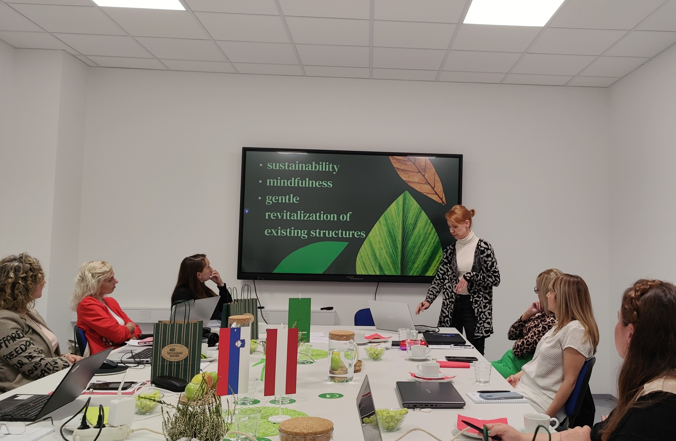 Zsuzanna Zsula präsentiert beim SAGE Kick-off Meeting